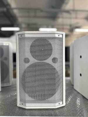 H08 80w 6.5 inch Wall-mounted Conference Speaker